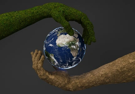 Eco-friendliness